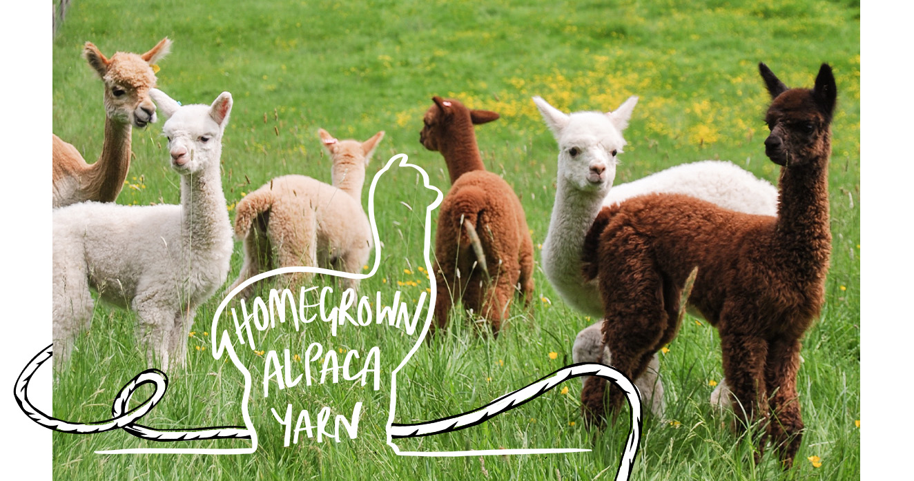 Homegrown alpaca yarn limited edition batch toft
